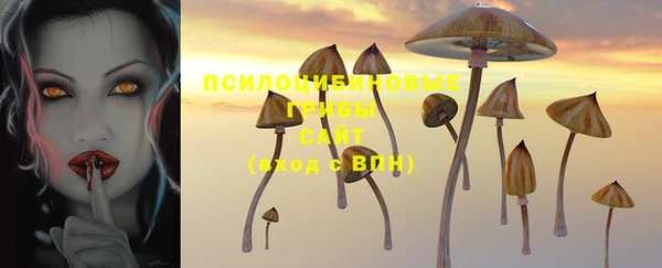 метадон Богородск