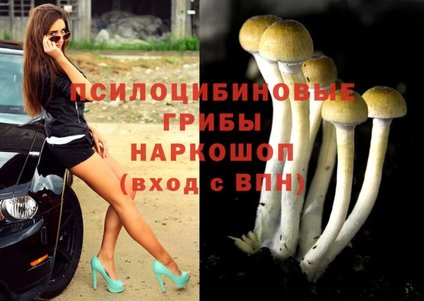 дурь Богородицк