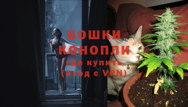 бошки Богданович