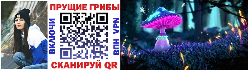 Псилоцибиновые грибы мицелий  Нижний Новгород 